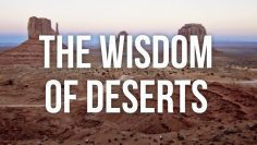 The Wisdom of Deserts