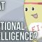 What is Emotional Intelligence?