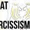 What Is Narcissism?