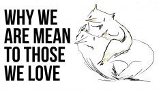 Why We Are Mean to Those We Love