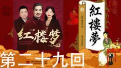 《红楼梦》全本有声剧 第二十九回：享福人福深还祷福 痴情女情重愈斟情