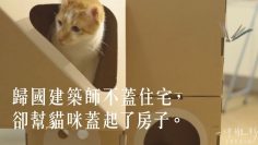 貓屋御用設計師？貓奴幫主子蓋紙箱公寓。 －【一件襯衫】