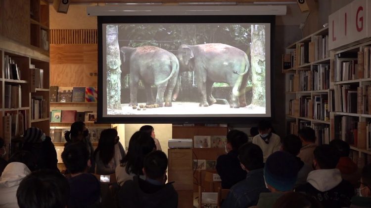 《報導者》攝影工作坊第四期對外發表會：張庭甄《憂鬱動物園》