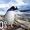 360° Antarctica – Journey Through The Ice | National Geographic