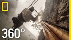 360° Dangerous Honey Hunting (4播放列表) | Explorer | National Geographic