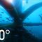 360° Dive Through an Oil Rig Ecosystem | National Geographic