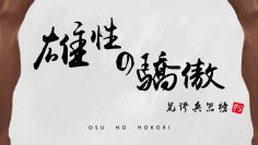 【雄性の驕傲】荒謬兵器榜