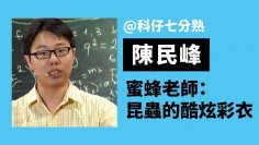 昆蟲的酷炫彩衣——蜜蜂老師 陳民峰｜科仔七分熟