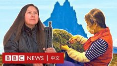 美國華人蜂擁種大麻：在印第安人保留地上的「淘麻夢」 － BBC News 中文