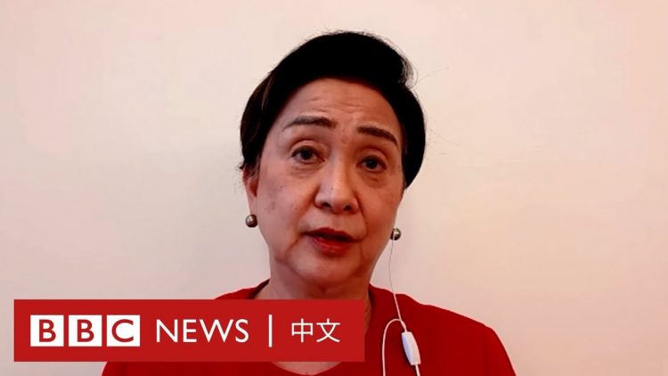 香港選舉制度改革：劉慧卿怒問「為何不乾脆直接任命你喜歡的人？」－ BBC News 中文