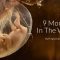 9 Months In The Womb: A Remarkable Look At Fetal Development Through Ultrasound By PregnancyChat.com