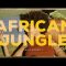 African Jungle — Amine Maxwell | Background Music | Audio Library Release