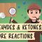 Aldehyde and Ketone Reactions – Hydrates, Acetals, & Imines: Crash Course Organic Chemistry #29