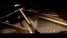 Alexandre Tharaud: The Goldberg Variations