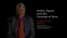 Ancient Nubia Now: Nubia, Egypt, and the Concept of Race