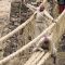 Ancient Quechua tradition preserved in the Q’eswachaka Bridge (Andes, Peru)