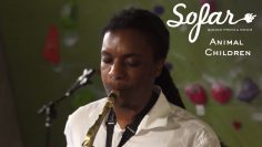 Animal Children – Stay Golden, Pony Boy | Sofar St. Louis