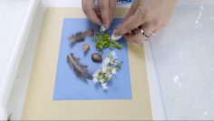 Art In Action: Cyanotype Art Activities