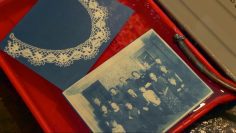 Art In Action: Cyanotype Process