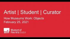 Artist | Student | Curator: How Museums Work – Objects