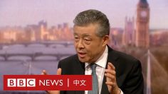 劉曉明：李文亮是英雄 中國沒有任何隱瞞－ BBC News 中文