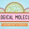 Biological Molecules – You Are What You Eat: Crash Course Biology #3