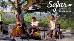 Blossom – Fruto del Encuentro | Sofar Ibiza