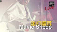 BOX103 Manic Sheep/Phony Peace │Soul Live Box 台灣原創現場
