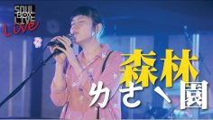 BOX87森林樂園The Forest Party/請你給我最脆弱的你 │Soul Live Box 台灣原創現場