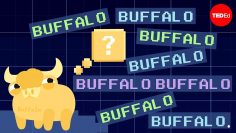 Buffalo buffalo buffalo: One-word sentences and how they work – 艾瑪布萊斯