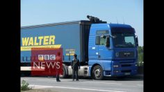 Calais: Migrant climbs into lorry (360 video) – BBC News