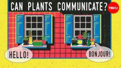 Can plants talk to each other? – Richard Karban