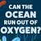 Can the ocean run out of oxygen? – Kate Slabosky