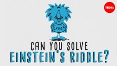 Can you solve Einstein’s Riddle? – Dan Van der Vieren