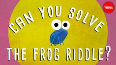 Can you solve the frog riddle? – Derek Abbott