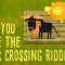 Can you solve the river crossing riddle? – Lisa Winer