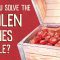 Can you solve the stolen rubies riddle? – Dennis Shasha