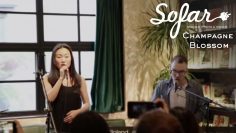 Champagne Blossom – Kiss of Fire | Sofar Shanghai