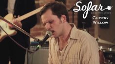 Cherry Willow – 2025 | Sofar Leipzig