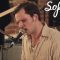 Cherry Willow – 2025 | Sofar Leipzig