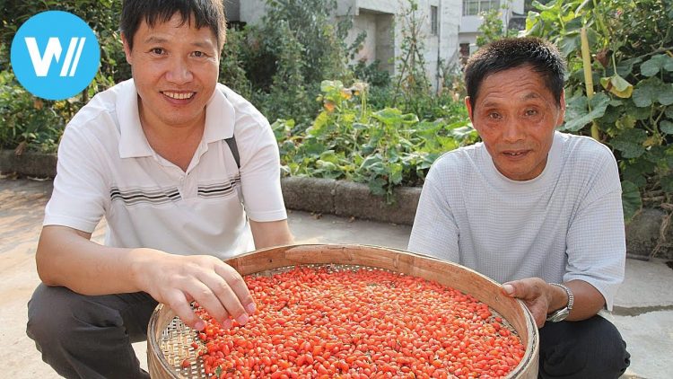 中國的超級大國之路 – 一切都有價格標籤 (中國對中國, 插曲 3)