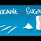 Cocaine vs Sugar