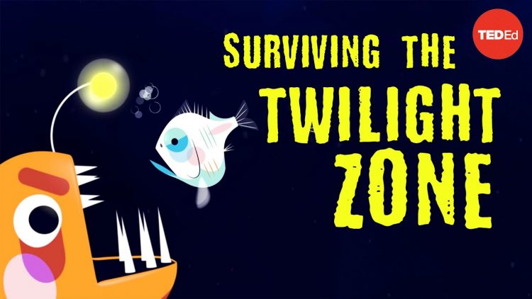 Could you survive the real Twilight Zone? – Philip Renaud and Kenneth Kostel