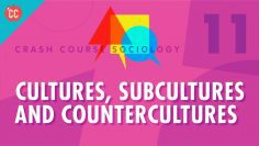 Cultures, Subcultures, and Countercultures: 速成班社會學 #11