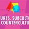 Cultures, Subcultures, and Countercultures: Crash Course Sociology #11