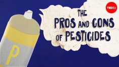 Do we really need pesticides? – Fernan Pérez-Gálvez