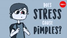 Does stress cause pimples? – Claudia Aguirre