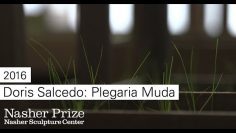 Doris Salcedo: Plegaria Muda (Silent Prayer), 2016