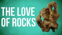 EASTERN PHILOSOPHY – The Love of Rocks