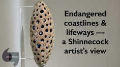 Endangered coastlines and lifeways — a Shinnecock artists view